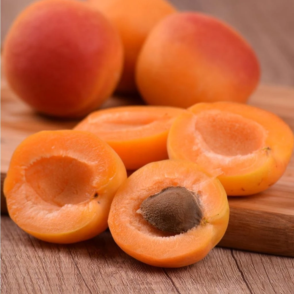 Abricotier Royal 1 Abricotier Royal